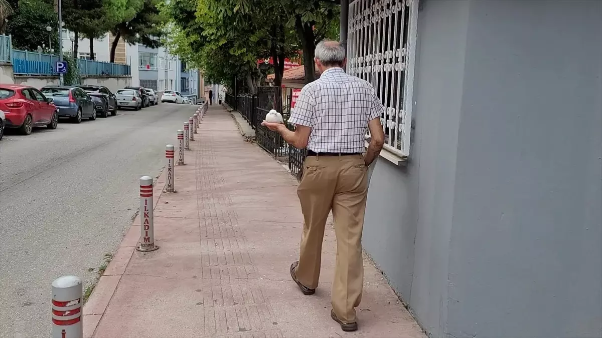 Paşa ile Ahmet’in Dostluğu