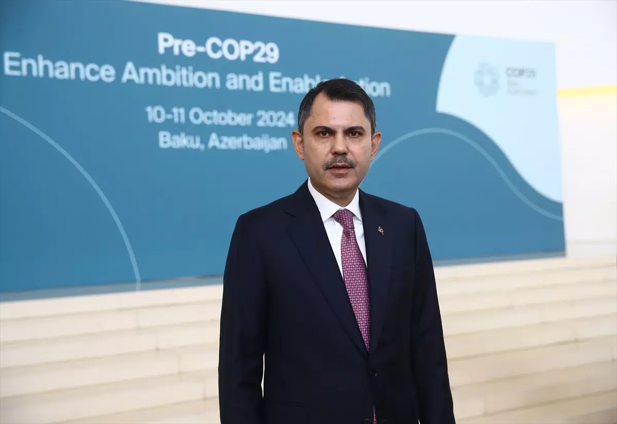 Türkiye, COP 29 sürecinde Azerbaycan’a destek olacak