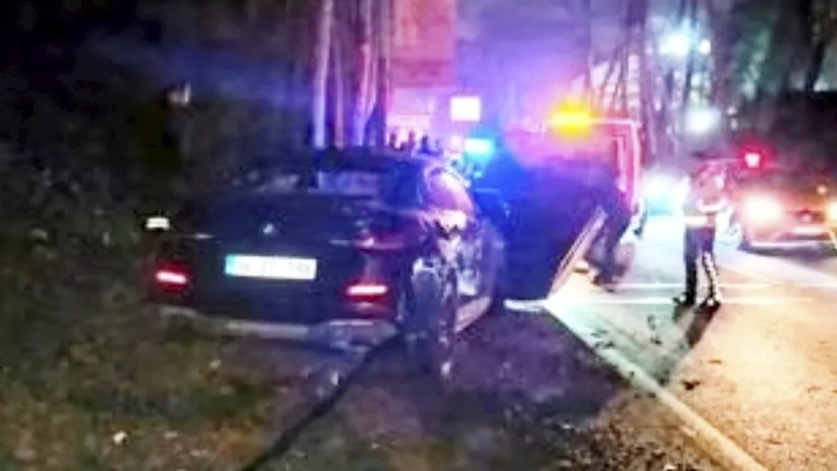Otomobil kontrolden çıkıp önce direğe sonra ormana daldı